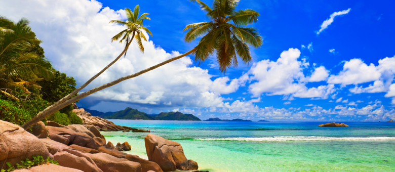 Palms on beach at island La Digue, Seychelles - vacation background